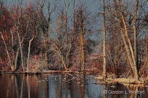 Jock River At Dawn_15516.jpg - Photographed at Ottawa, Ontario - the capital of Canada.